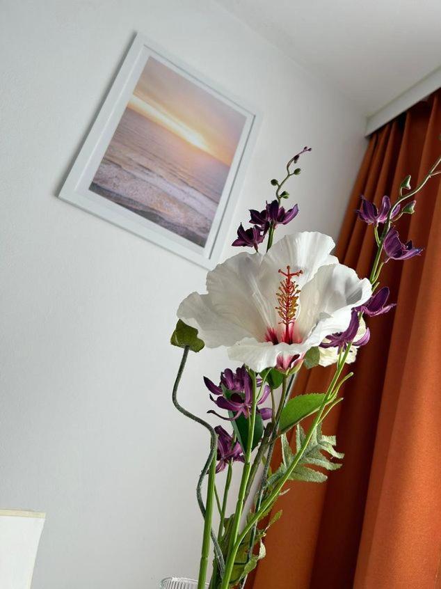 Apartment Harmony غراتس المظهر الخارجي الصورة